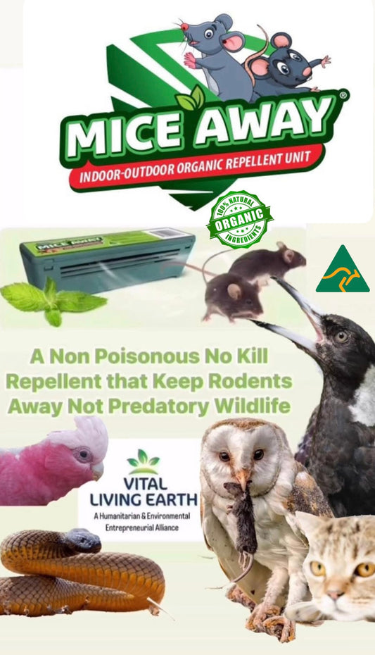 I) 6 Pack Mice Away® 2in1 DIY Refillable Indoor-Outdoor Organic Mice & Rat Repellent & Room Scent Diffuser. FREE DELIVERY AUSTRALIA WIDE