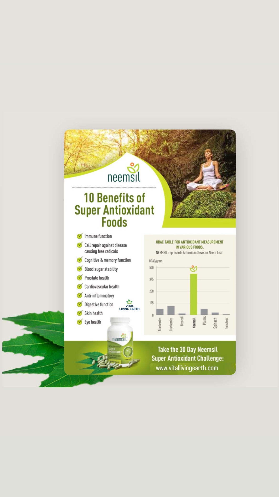 K) (Twin Pack) Neemsil® Super Antioxidant x 120 Vegan Capsules (Complies with TGA Standards) FREE DELIVERY AUSTRALIA WIDE