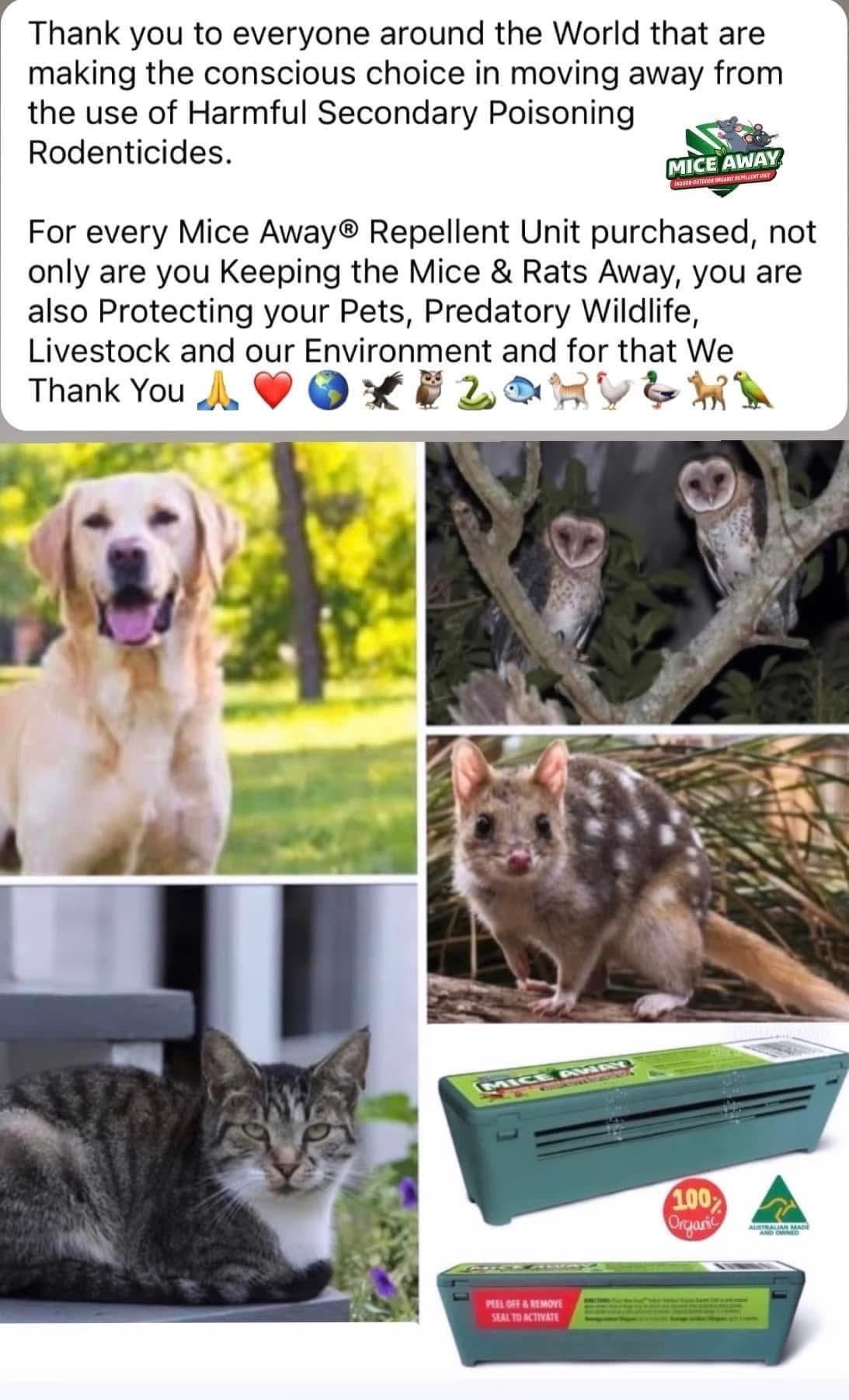 I) (12Pack) FREE DELIVERY AUSTRALIA WIDE Mice Away® Indoor-Outdoor Non Poisonous No Kill Organic Mice & Rat Repellent