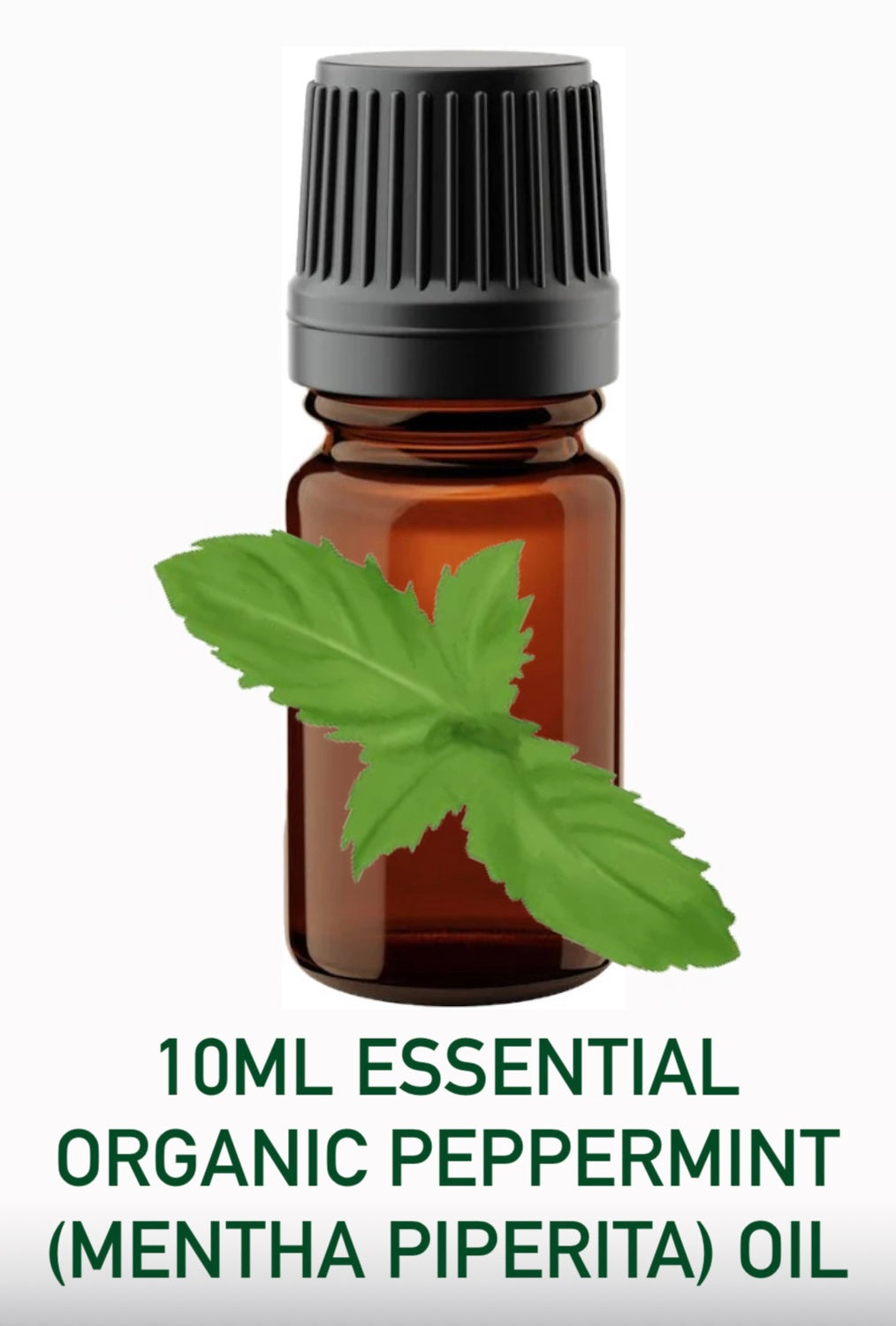 O) 10ml Essential Organic Peppermint Diffuser Oil (Mentha Piperita) 1 x Bottle