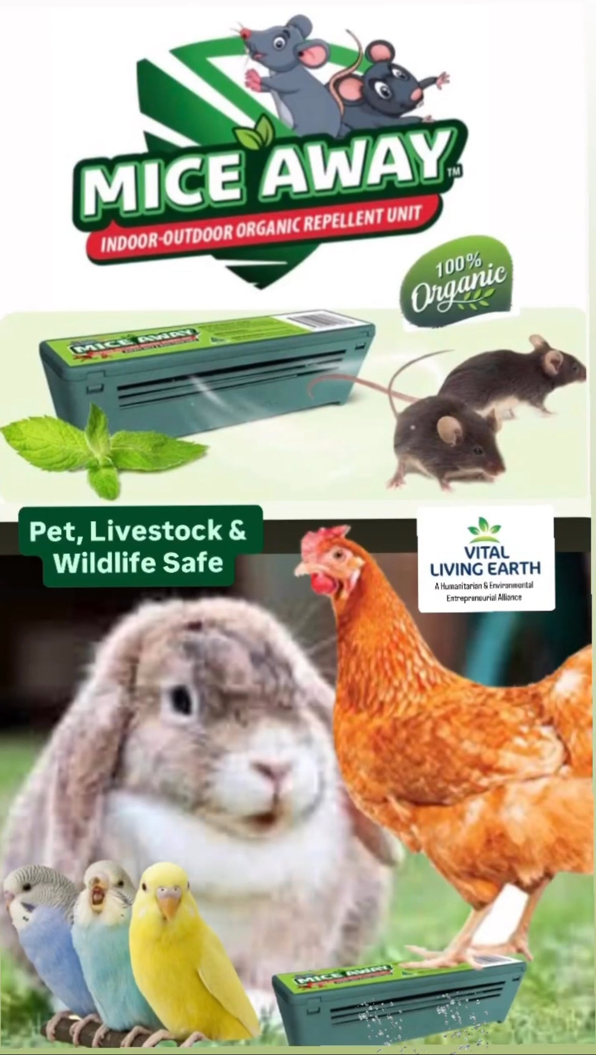 I) 6 Pack Mice Away® 2in1 DIY Refillable Indoor-Outdoor Organic Mice & Rat Repellent & Room Scent Diffuser.                                   FREE DELIVERY AUSTRALIA WIDE