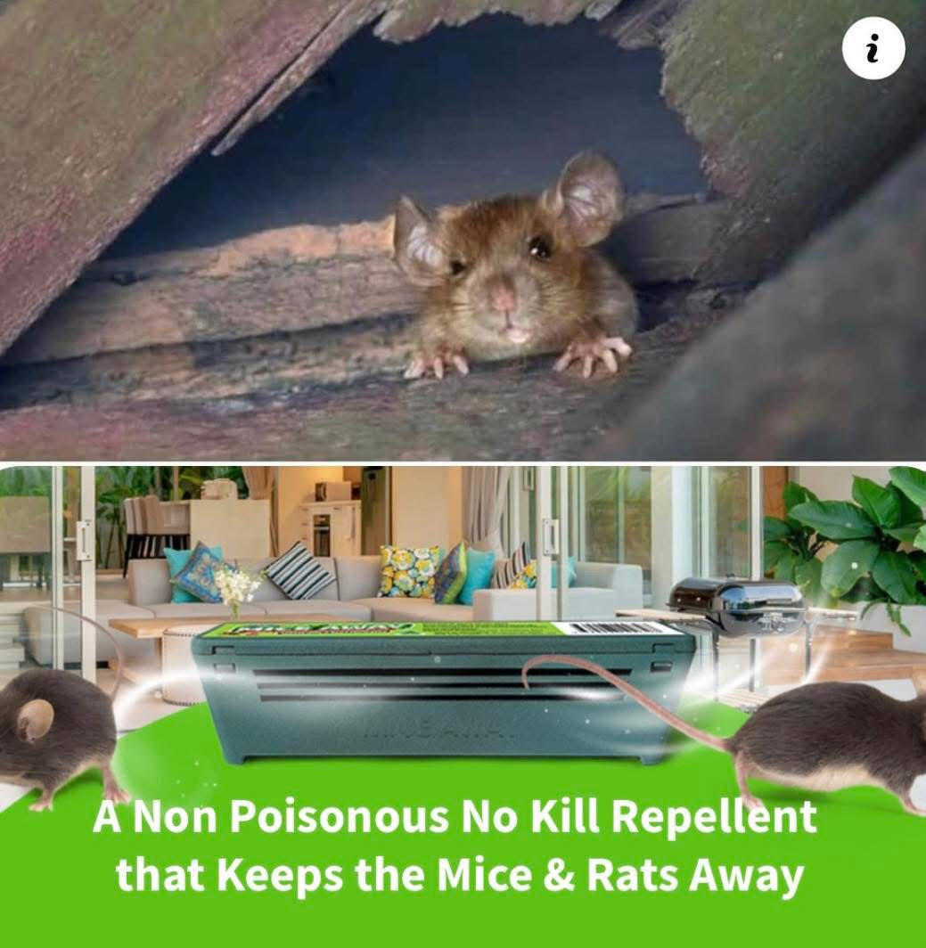L) 18 Pack Mice Away® 2in1 DIY Refillable Indoor-Outdoor Organic Mice & Rat Repellent & Room Scent Diffuser.                           FREE DELIVERY AUSTRALIA WIDE