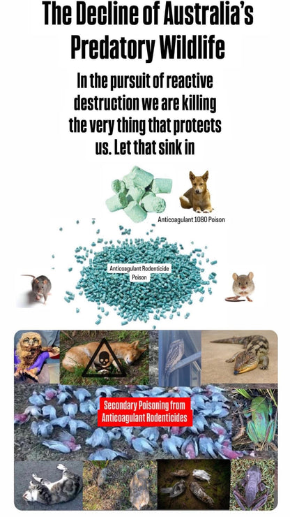 L) 18 Pack Mice Away® 2in1 DIY Refillable Indoor-Outdoor Organic Mice & Rat Repellent & Room Scent Diffuser.                           FREE DELIVERY AUSTRALIA WIDE