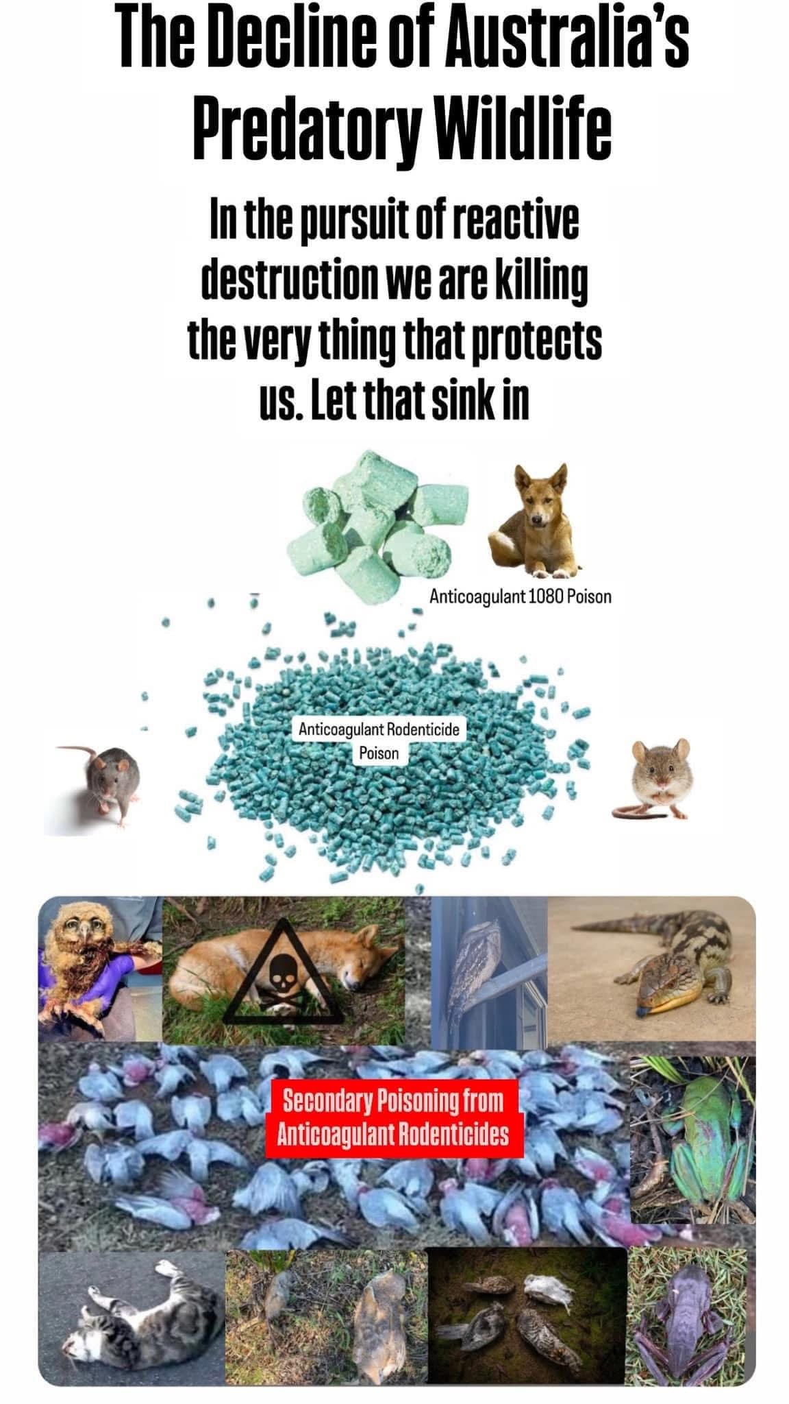 L) 18 Pack Mice Away® 2in1 DIY Refillable Indoor-Outdoor Organic Mice & Rat Repellent & Room Scent Diffuser.                           FREE DELIVERY AUSTRALIA WIDE