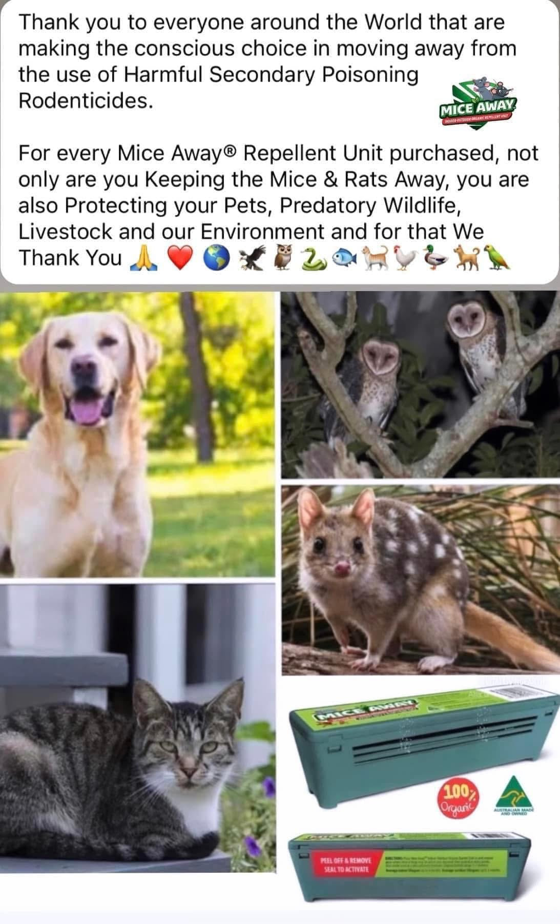 I) 6 Pack Mice Away® 2in1 DIY Refillable Indoor-Outdoor Organic Mice & Rat Repellent & Room Scent Diffuser.                                   FREE DELIVERY AUSTRALIA WIDE