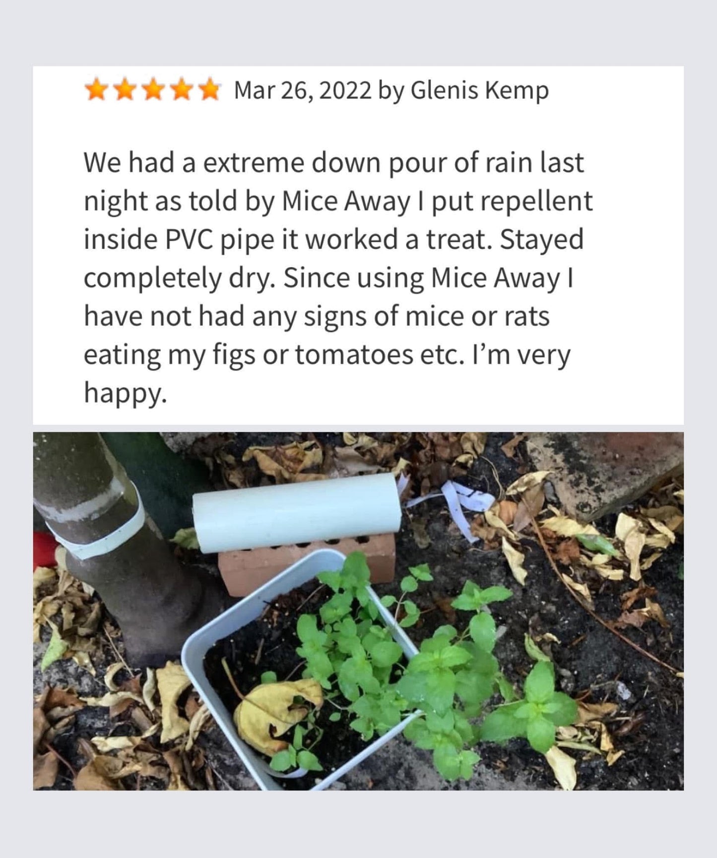 I) 6 Pack Mice Away® 2in1 DIY Refillable Indoor-Outdoor Organic Mice & Rat Repellent & Room Scent Diffuser.                                   FREE DELIVERY AUSTRALIA WIDE