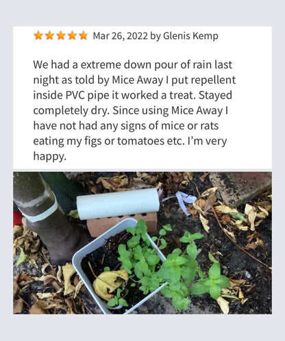 I) 6 Pack Mice Away® 2in1 DIY Refillable Indoor-Outdoor Organic Mice & Rat Repellent & Room Scent Diffuser.                                   FREE DELIVERY AUSTRALIA WIDE
