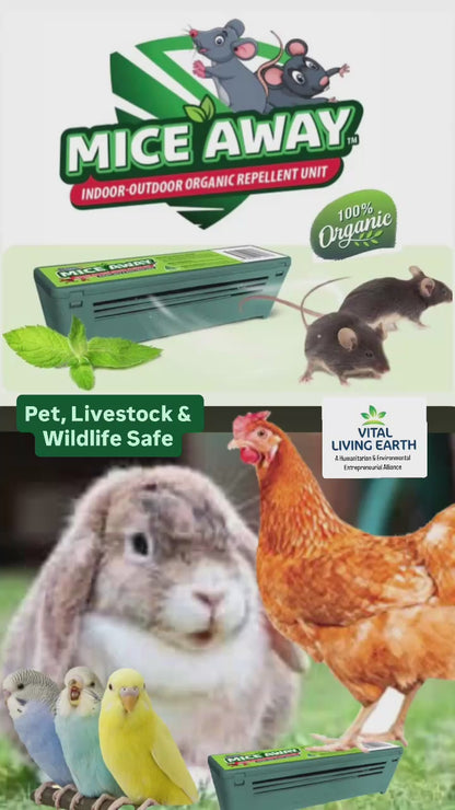I) (12Pack) FREE DELIVERY AUSTRALIA WIDE                      Mice Away®  Indoor-Outdoor Non Poisonous No Kill Organic Mice & Rat Repellent