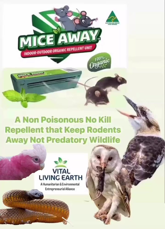 F) Mice Away®  Indoor-Outdoor Non Poisonous No Kill Organic Mice & Rat Repellent (1 x Unit)
